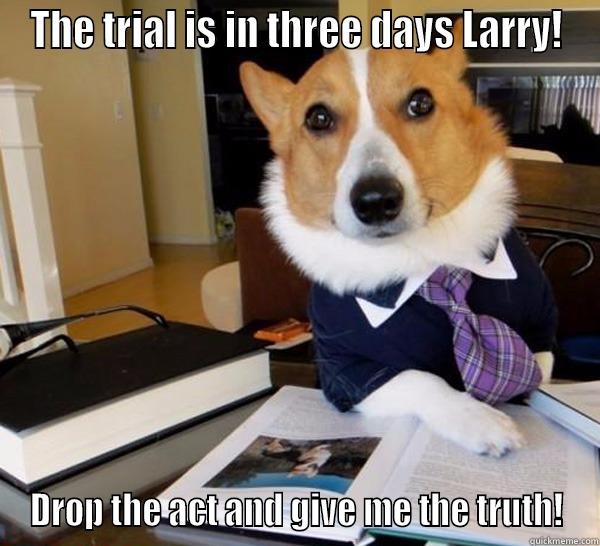 THE TRIAL IS IN THREE DAYS LARRY! DROP THE ACT AND GIVE ME THE TRUTH! Lawyer Dog