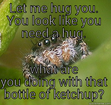 funny meme - LET ME HUG YOU. YOU LOOK LIKE YOU NEED A HUG. WHAT ARE YOU DOING WITH THAT BOTTLE OF KETCHUP? Misunderstood Spider