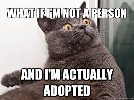 What if I'm not a person and i'm actually adopted  conspiracy cat