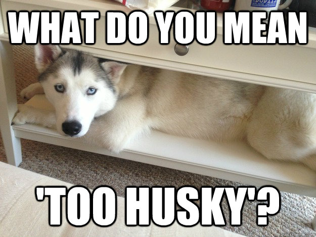 What do you mean 'too husky'? - What do you mean 'too husky'?  Misc