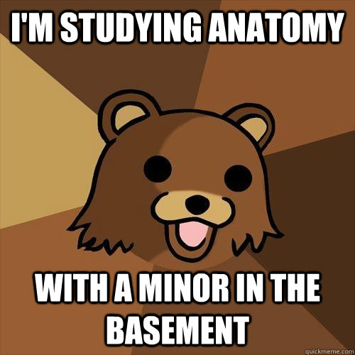 I'm studying anatomy  with a minor in the basement  Pedobear