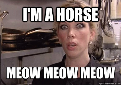 I'm a horse meow meow meow   Crazy Amy