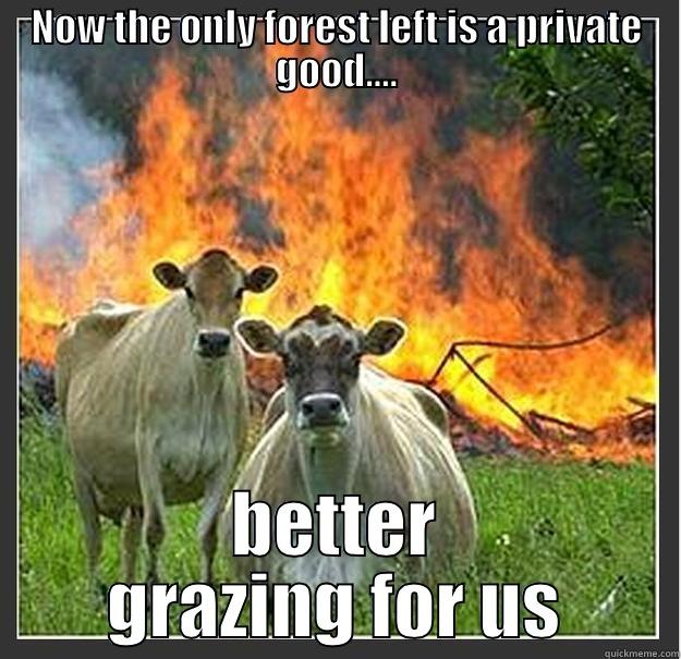 NOW THE ONLY FOREST LEFT IS A PRIVATE GOOD.... BETTER GRAZING FOR US Evil cows