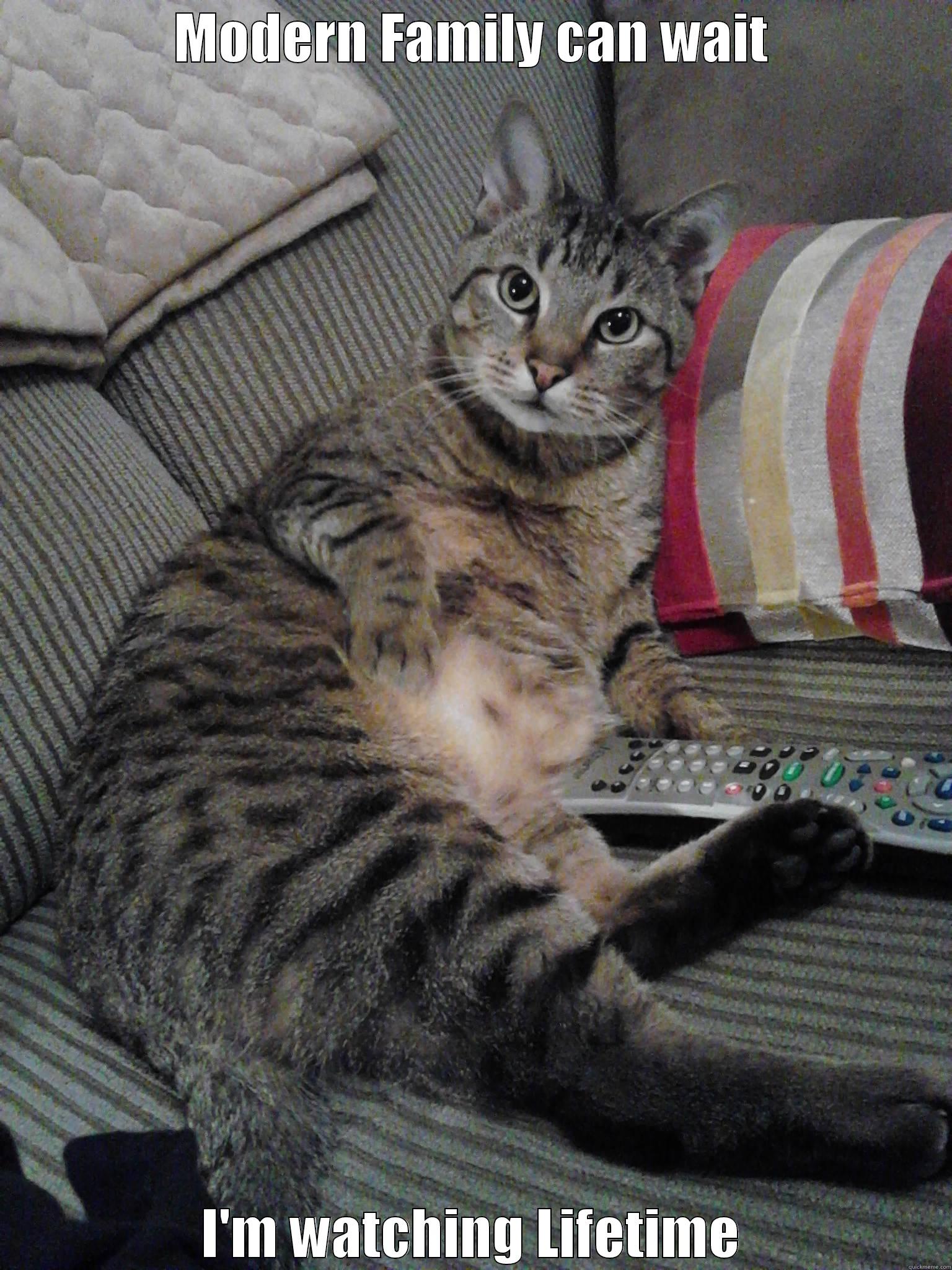 tv cat - MODERN FAMILY CAN WAIT I'M WATCHING LIFETIME Misc