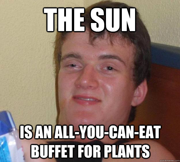 The sun Is an all-you-can-eat buffet for plants - The sun Is an all-you-can-eat buffet for plants  10 Guy