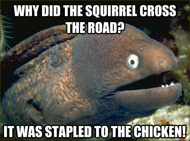 Why did the squirrel cross the road? It was stapled to the chicken!  Bad Joke Eel