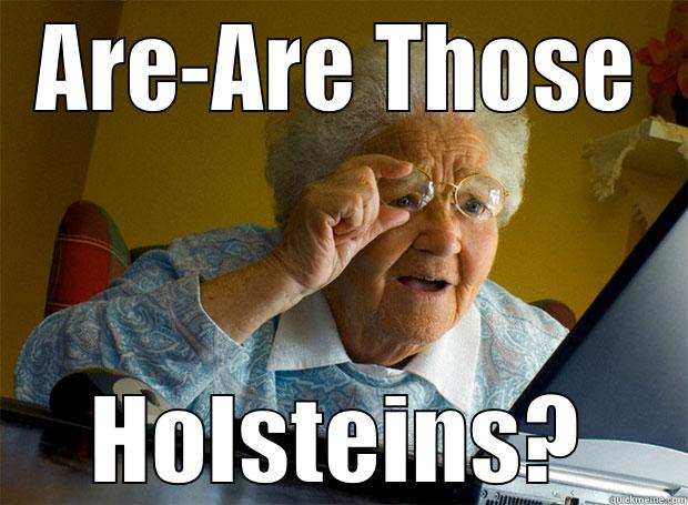 ARE-ARE THOSE HOLSTEINS? Grandma finds the Internet