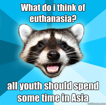 What do i think of euthanasia? all youth should spend some time in Asia - What do i think of euthanasia? all youth should spend some time in Asia  Lame Pun Coon