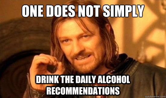 One Does Not Simply drink the daily alcohol recommendations  Boromir