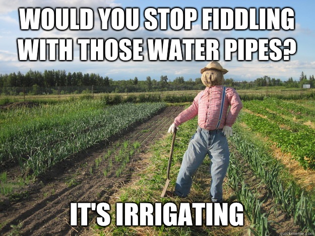 Would you stop fiddling with those water pipes? It's irrigating  