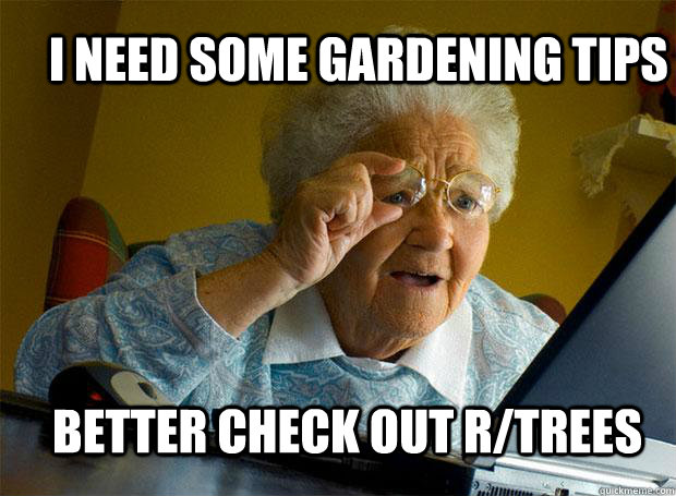 I NEED SOME GARDENING TIPS BETTER CHECK OUT R/TREES  Grandma finds the Internet