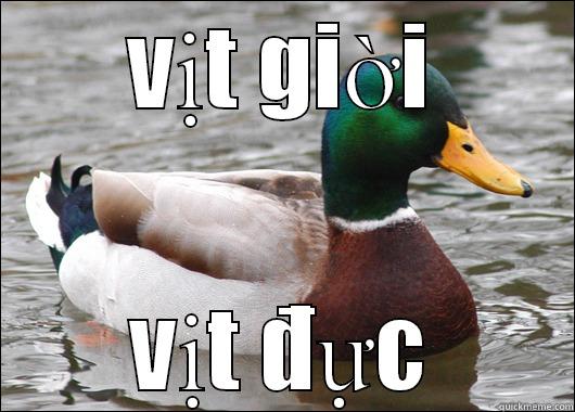 vịt giời - VỊT GIỜI VỊT ĐỰC Actual Advice Mallard