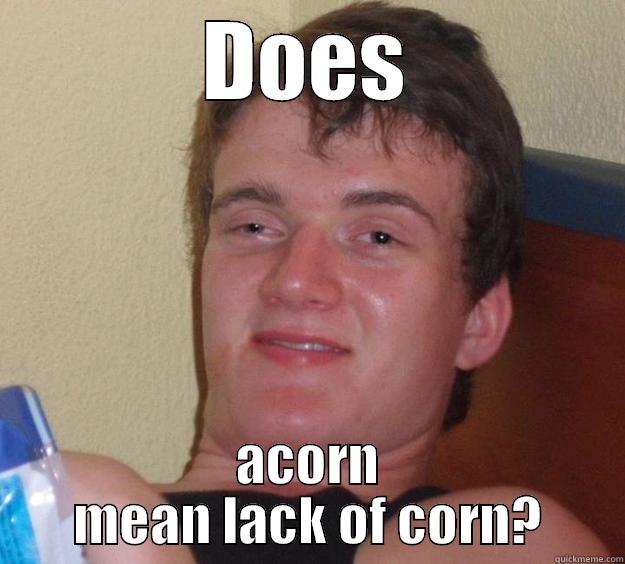 10 guy on Acorns - DOES ACORN MEAN LACK OF CORN? 10 Guy