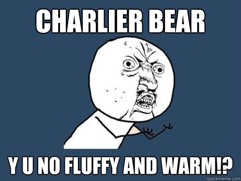 Charlier bear y u no fluffy and warm!? - Charlier bear y u no fluffy and warm!?  Y U No