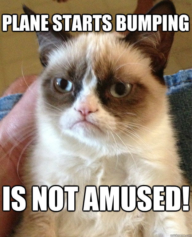 Plane starts bumping Is not amused!   Grumpy Cat