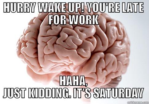 HURRY WAKE UP! YOU'RE LATE FOR WORK HAHA, JUST KIDDING. IT'S SATURDAY Scumbag Brain