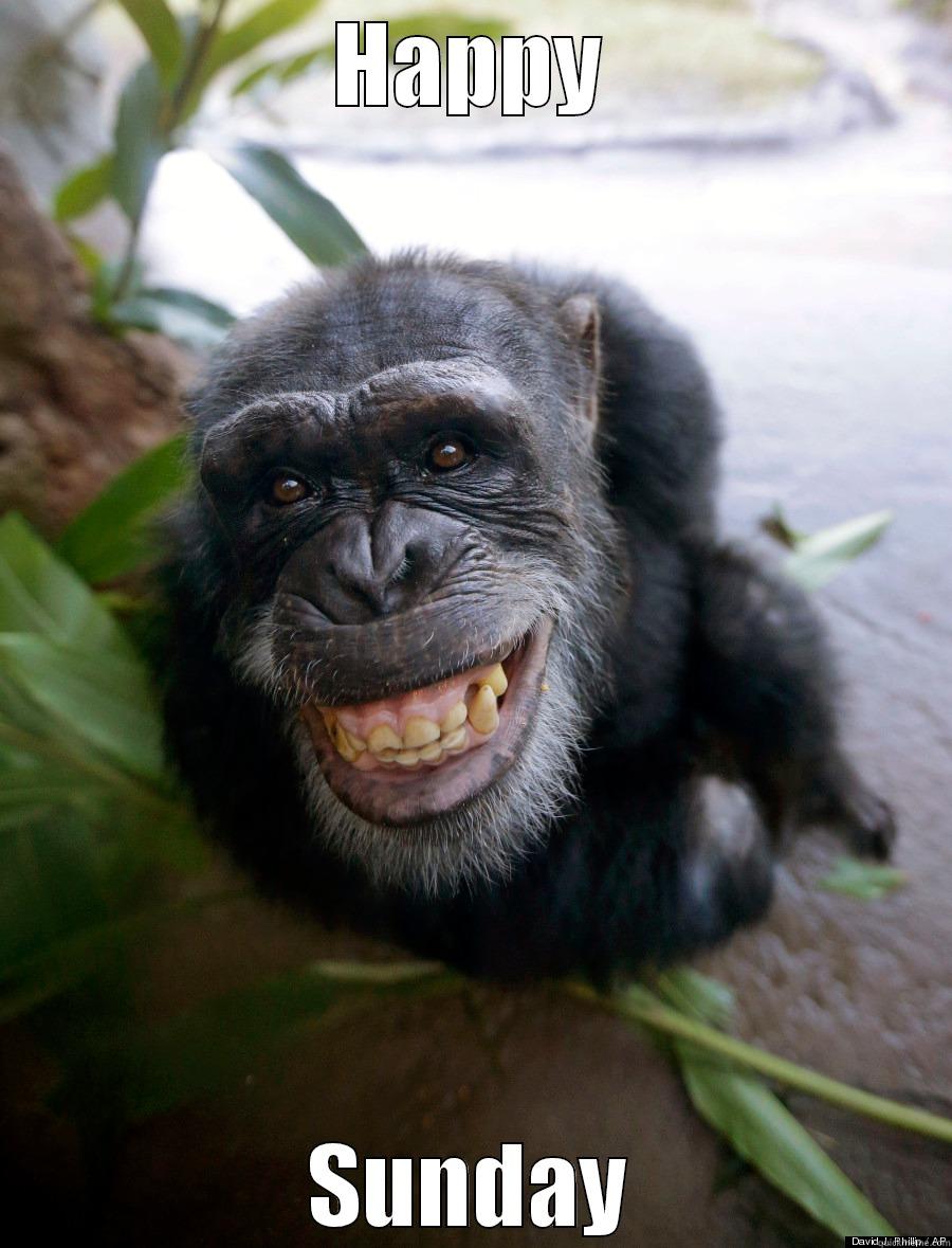 cheesy monkey - HAPPY SUNDAY Misc