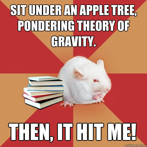 Sit under an apple tree, pondering theory of gravity. Then, it hit me! - Sit under an apple tree, pondering theory of gravity. Then, it hit me!  Science Major Mouse