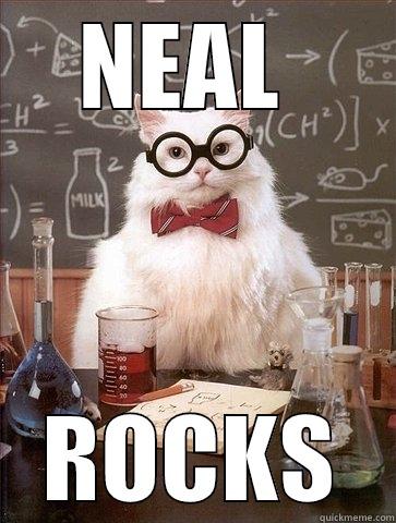 NEAL  ROCKS Chemistry Cat