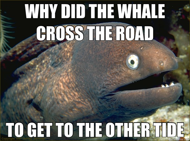 WHY DID THE WHALE CROSS THE ROAD TO GET TO THE OTHER TIDE  Bad Joke Eel