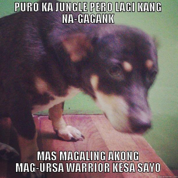 ursang tagalog - PURO KA JUNGLE PERO LAGI KANG NA-GAGANK MAS MAGALING AKONG MAG-URSA WARRIOR KESA SAYO Misc