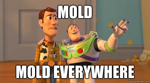 Mold Mold everywhere - Mold Mold everywhere  Buzz Kill