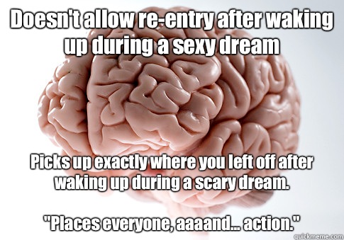 Doesn't allow re-entry after waking up during a sexy dream Picks up exactly where you left off after waking up during a scary dream. 

