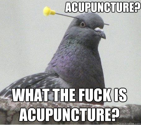 acupuncture?  What the fuck is acupuncture? - acupuncture?  What the fuck is acupuncture?  What dart