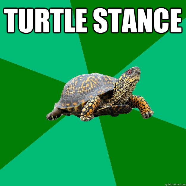 turtle stance  - turtle stance   Torrenting Turtle