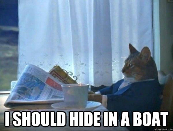  I should hide in a boat  morning realization newspaper cat meme