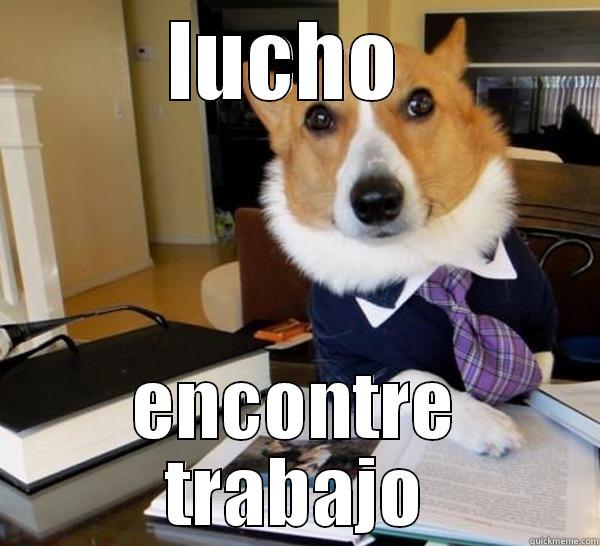 LUCHO  ENCONTRE TRABAJO Lawyer Dog