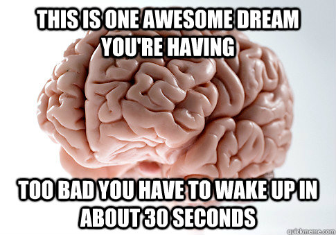 this is one awesome dream you're having too bad you have to wake up in about 30 seconds  Scumbag Brain