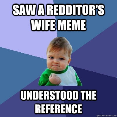 Saw a redditor's wife meme understood the reference  Success Kid