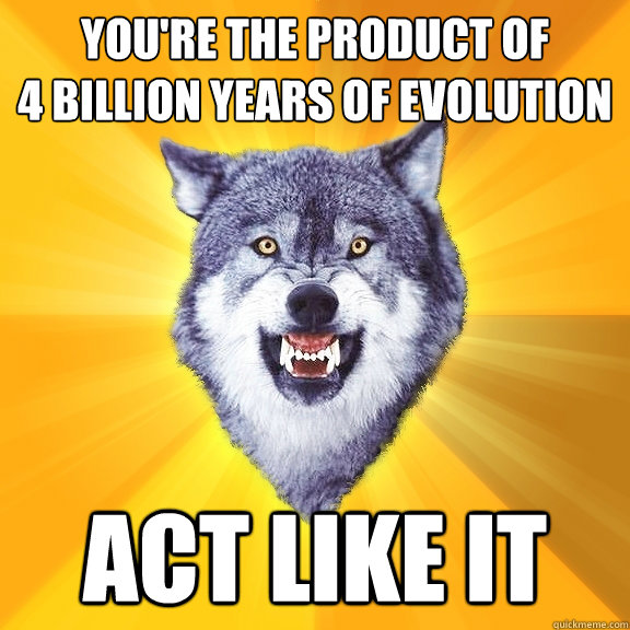 You're the product of 
4 Billion years of evolution ACT LIKE IT  Courage Wolf