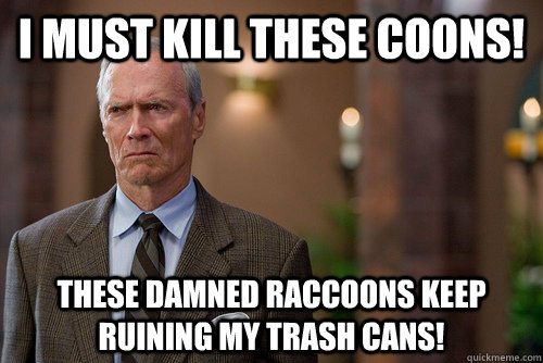 i must kill these coons! these damned raccoons keep ruining my trash cans!  