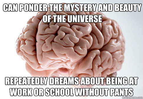 Can ponder the mystery and beauty of the universe Repeatedly dreams about being at work or school without pants  Scumbag Brain