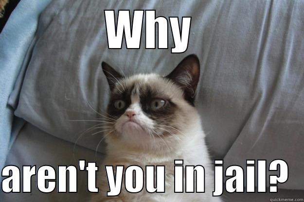 WHY  AREN'T YOU IN JAIL?  Grumpy Cat