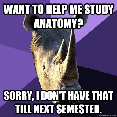 want to help me study anatomy? Sorry, I don't have that till next semester.  Sexually Oblivious Rhino