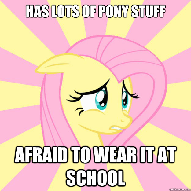 Has lots of pony stuff Afraid to wear it at school   Socially awkward brony