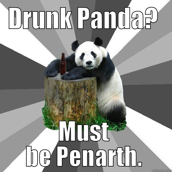 DRUNK PANDA? MUST BE PENARTH. Pickup-Line Panda