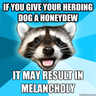 If you give your herding dog a honeydew it may result in
melancholy - If you give your herding dog a honeydew it may result in
melancholy  Lame Pun Coon