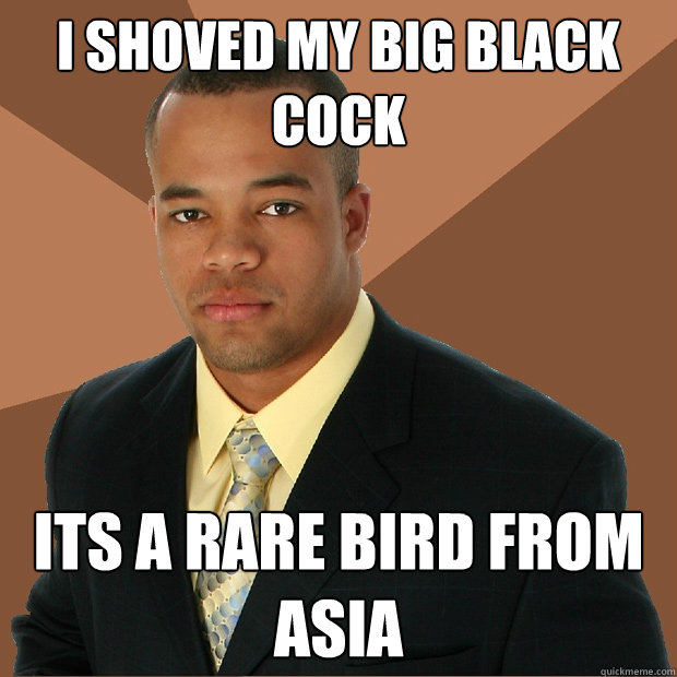 I shoved my big black cock its a rare bird from asia - I shoved my big black cock its a rare bird from asia  Successful Black Man