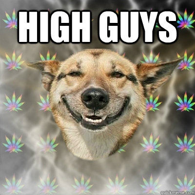 High guys   Stoner Dog