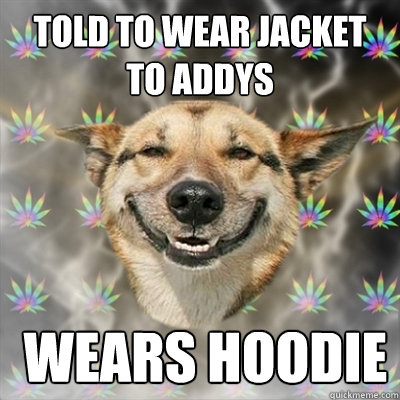 told to wear jacket to addys  wears hoodie - told to wear jacket to addys  wears hoodie  Stoner Dog