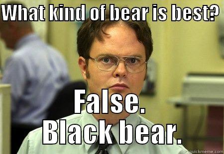 What kind of bear is best? .. I don False. Black bear. - WHAT KIND OF BEAR IS BEST?  FALSE.  BLACK BEAR. Schrute