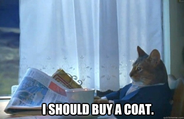 I should buy a coat.  Sophisticated Cat