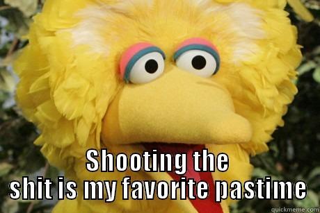 big bird at work 2 -  SHOOTING THE SHIT IS MY FAVORITE PASTIME Misc