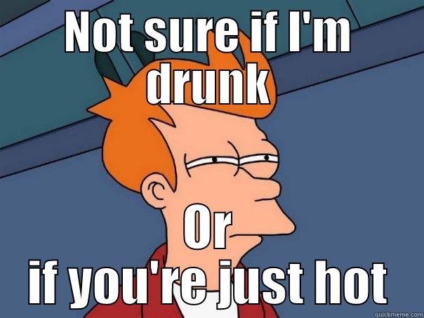 NOT SURE IF I'M DRUNK OR IF YOU'RE JUST HOT Futurama Fry