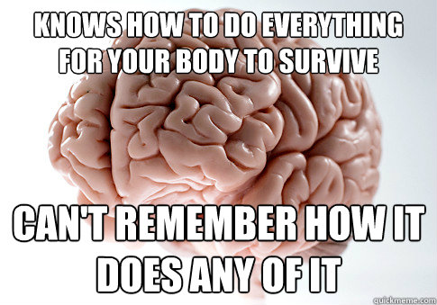 Knows how to do everything for your body to survive Can't remember how it does any of it - Knows how to do everything for your body to survive Can't remember how it does any of it  Scumbag Brain