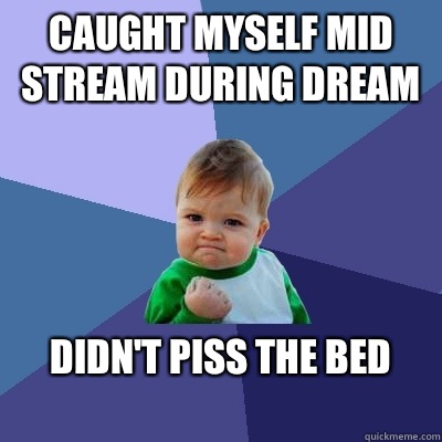 caught myself mid stream during dream didn't piss the bed
 - caught myself mid stream during dream didn't piss the bed
  Success Kid